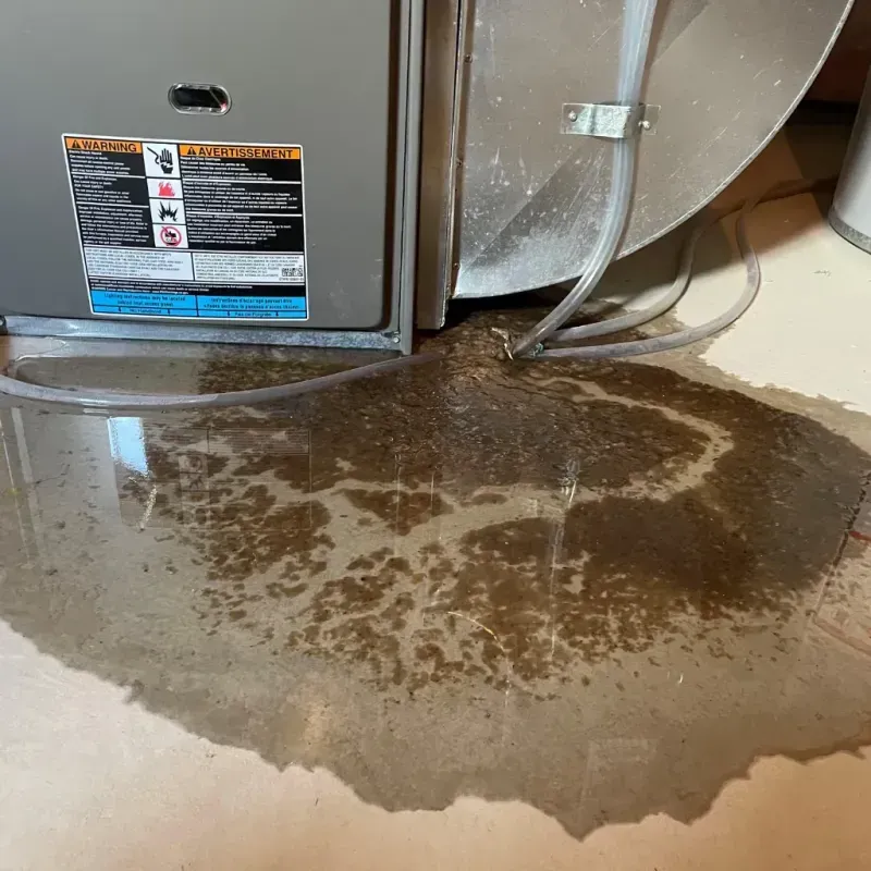 Appliance Leak Cleanup in Star Valley Ranch, WY